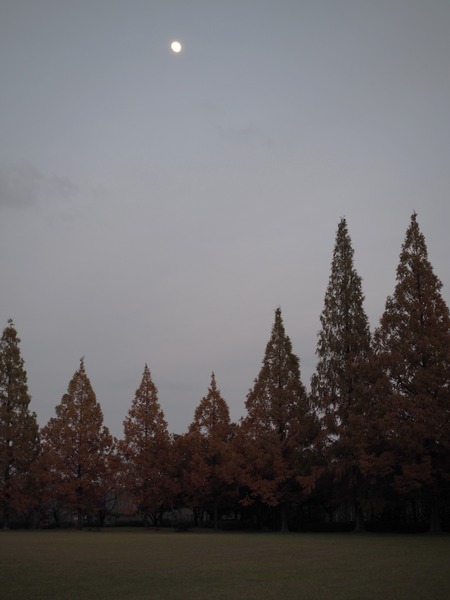 �ڻ���������PC021438