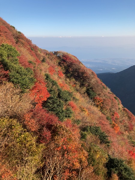 2024.11.13 雲仙仁田峠の紅葉IMG_8440