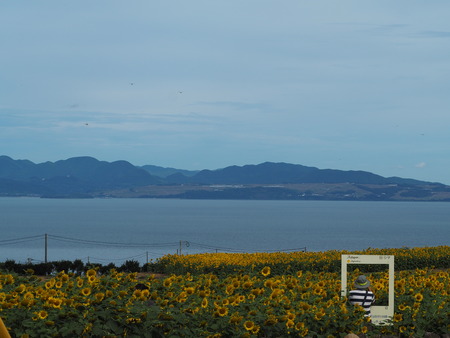 2022.07.30 ����Ծ���Į���Ҥޤ�ꥯ������P7303649