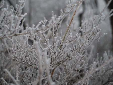 2022.12.03 ±ÀÀç¿ÎÅÄÆ½¡¢Ì¯¸«³Ù¡¡Ì¸É¹P1011651