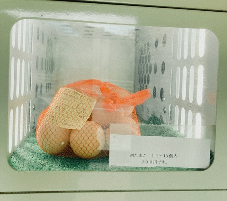 2023.02.07 ´ÒÁá»Ô¡¡¸Å²ìÍÜ·Ü¡¡½é¤¿¤Þ¤´IMG_3060