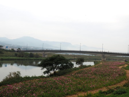 2022.10.16 諫早市不知火橋下のコスモス畑PA161716