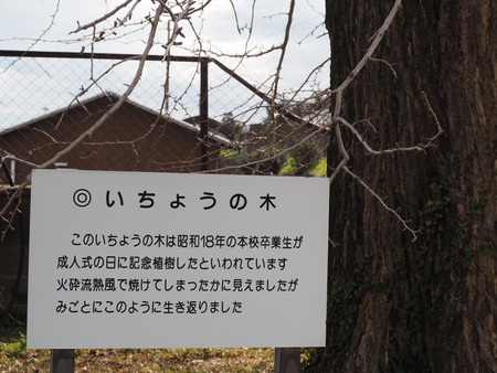 2023.03.18 南島原市深江町 大野木場小学校P1017055