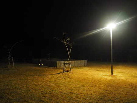 2023.02.17 雲仙温泉 雲仙灯りの花ぼうろP1011321