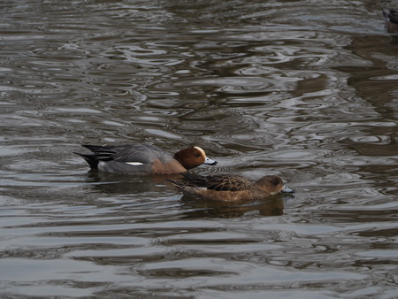 2023.03.04����¼�ԡ���¼����P1011832