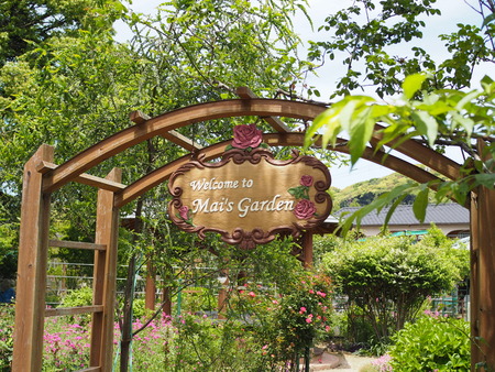 毎熊さんのバラ園 Mai's garden P1011921