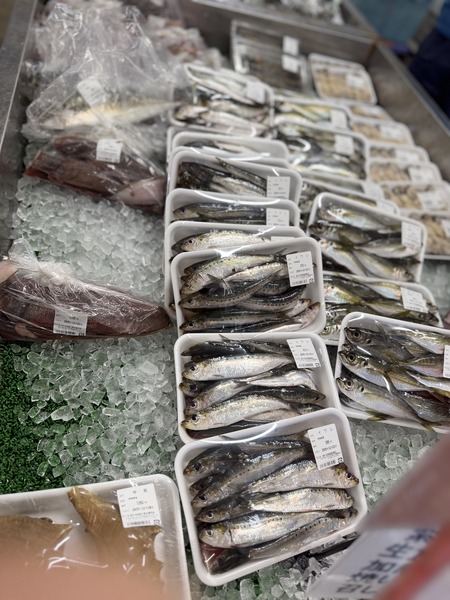 ����Ծ�Ĺ��Į�������ѵ���ľ��ŹIMG_8584