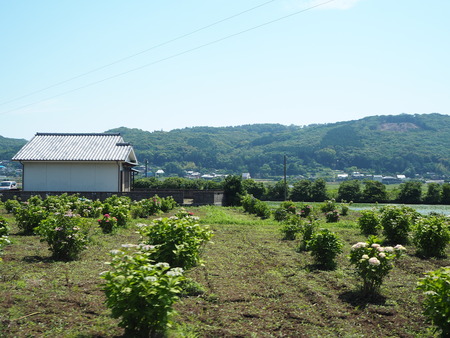 2021.05.28������Կ���Į���å���������P5232111