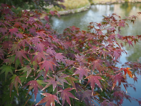 2021.11.21������ԡ��������PB187483