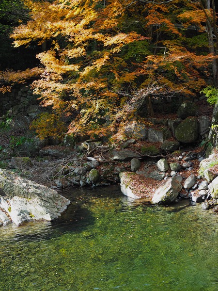 ����Թ���Į�����ή����ζ�����ն�PB261589