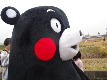 11-DSC09743