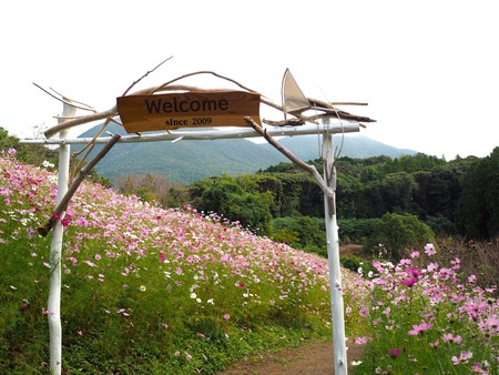 ��������Υ����⥹����μ�P1011867