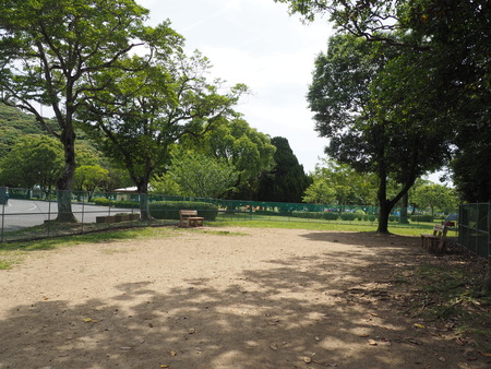 2024.05.11 諫早総合運動公園P5112918