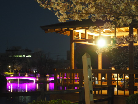2023.03.26 大村市 大村公園P1010548