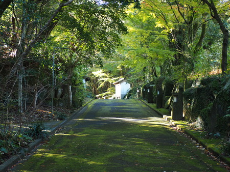 2024.12.02 ����ԡ�ŷʹ��PC020097