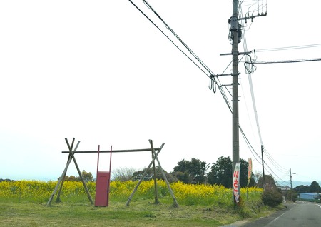 �����ϪŹIMG_5513