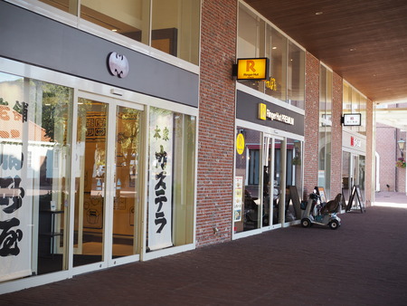 �ϥ����ƥ�ܥ�����󥬡��ϥåȥץ�ߥ���PB071379