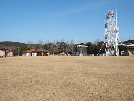 諫早市小長井町 山茶花高原P1161612