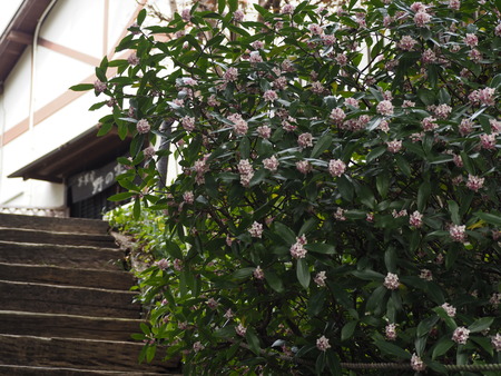 ��¼�ԡ���μ¡�������P3081692