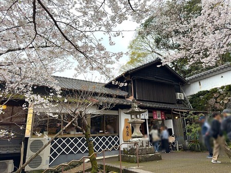 ��¼�ԡ��ߥ����񡡳���_1775047780