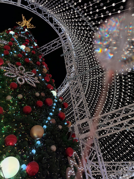 �ϥ����ƥ�ܥ������ꥹ�ޥ��ĥ꡼IMG_2503