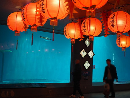 Ĺ��ԡ�Ĺ��ڥ󥮥��²��_1771330879