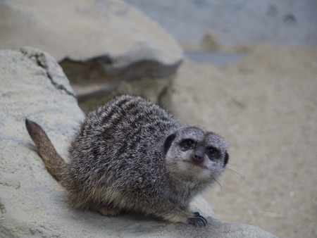 2021.11.14 �����ݻԡ��彽����ư��ʪ�ࡡ�������PB136427