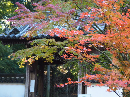 2024.12.02 ����ԡ�ŷʹ��PC020104