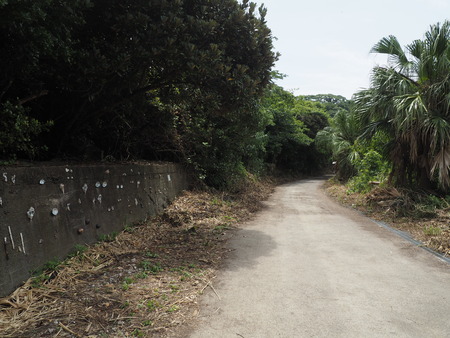 2023.07.29Ĺ��԰˲��硡�ץ쥸�㡼�������ɥߥ塼������P1010949