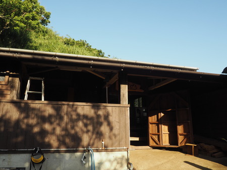 2023.07.11 Ĺºê»ÔÌîÊìºê¡¡ÌîÊì¤ó¤ÁP1019248