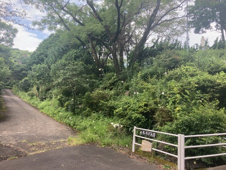 2023.08.29 ����Ծ�Ĺ��Į���ߤ������α���ɤ���IMG_7401