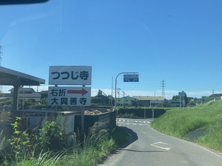 ���츩��Į���ߥ��ե����भ��� �饤��Ŧ�߼���IMG_8330