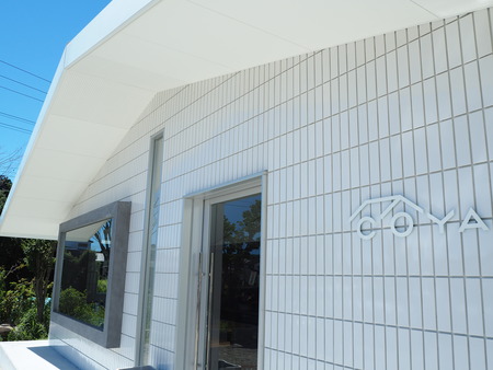 5-�Ⱥ���Į���ե��������ե����ãϣ٣��Σ�P8151479