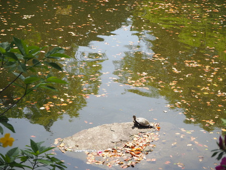 2021.04.10 諫早公園、高城神社、上山つつじ園P4105826