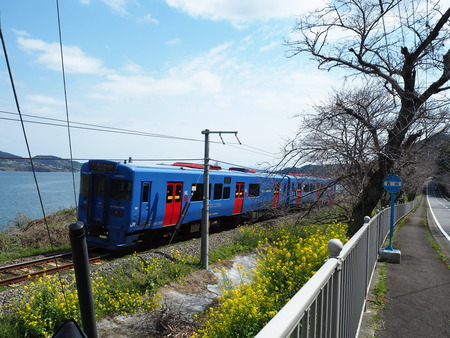 ��-�����¿�ɸ�Į������Х���P3170180