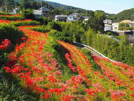 ĹԶ׳ΤֱֲPA021424