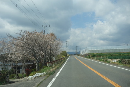 1-�������⸶DSC01467