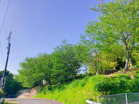 2022.04.19 ����Ը��Į���ھ�̾�β�ȪIMG_5742