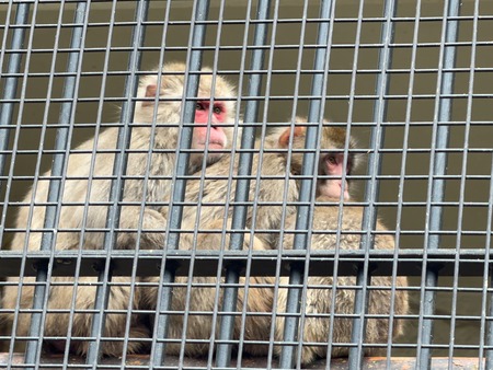 Ĺ����ࡡ��IMG_8298