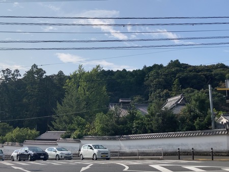 ŷʹ2025.10.19ʣҥIMG_0260