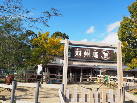 2021.11.14 �����ݻԡ��彽����ư��ʪ�ࡡ�������PB136372