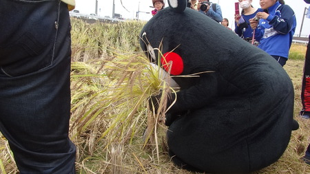 18-DSC09800
