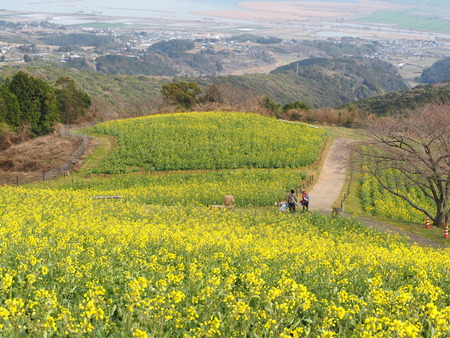 �������⸶�κڤβ�P3151401