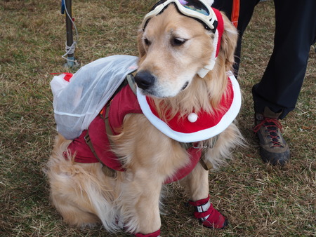 2024.12.01 taradake outdoor garaPC020152