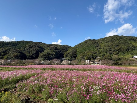 ����Į�ķ�Υ����⥹ȪIMG_1392