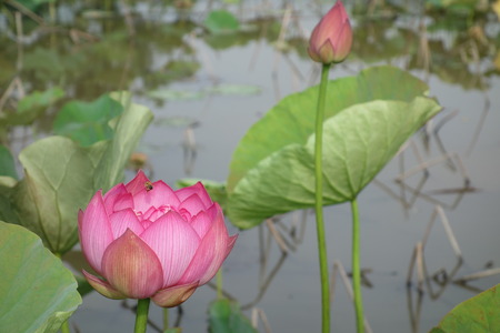 6-��������ϥ���DSC08301