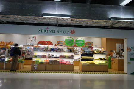 11-成田空港DSC03872