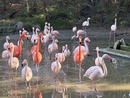 Ĺ��Х����ѡ������ե�ߥ�IMG_0187