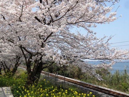 4-DSC08566
