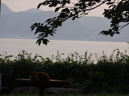 11-��¼��DSC00255